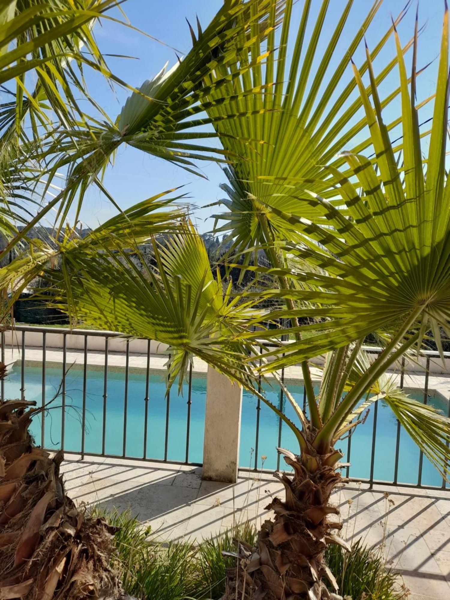 Villa Azur Lorgues Extérieur photo