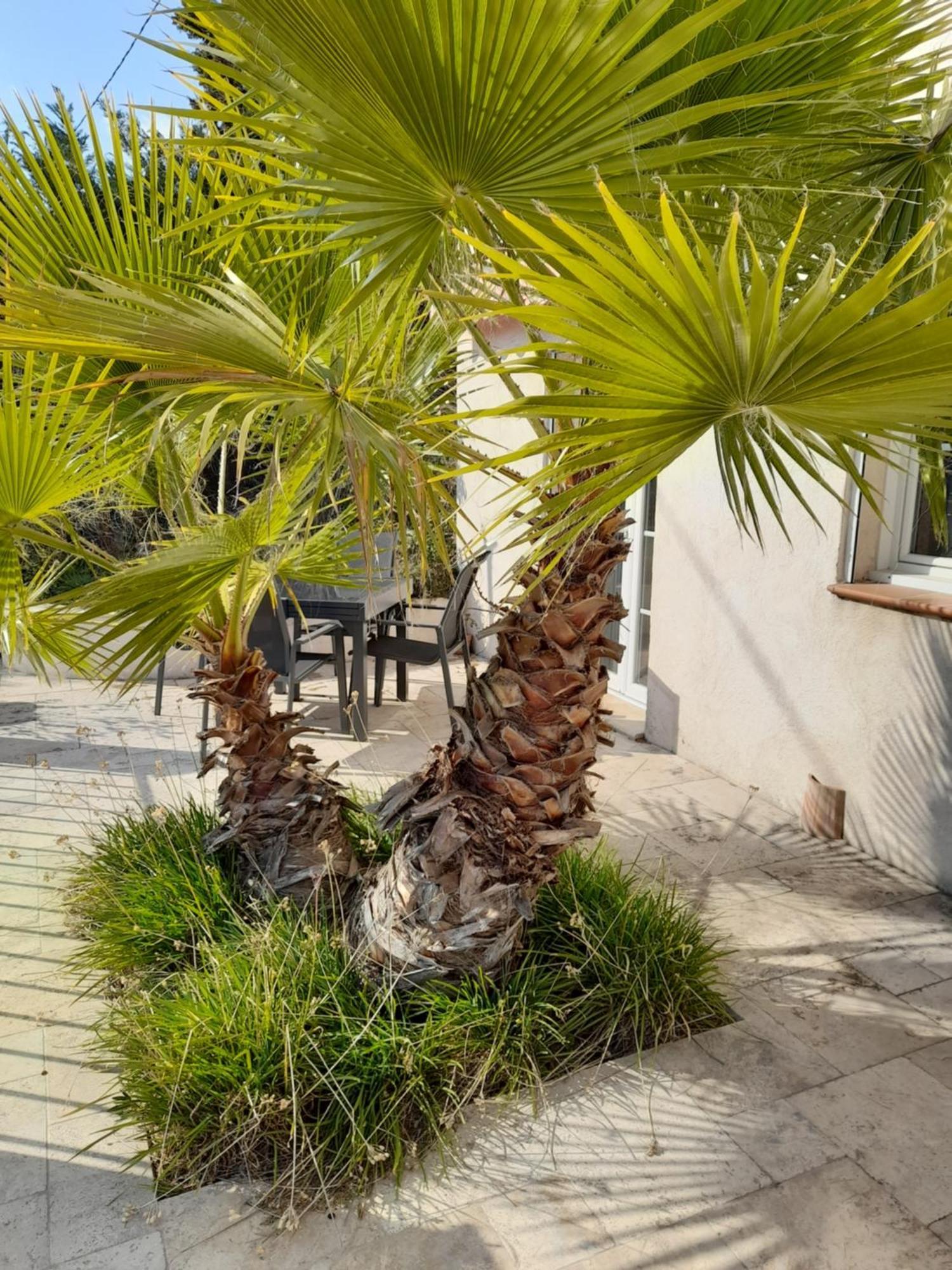 Villa Azur Lorgues Extérieur photo